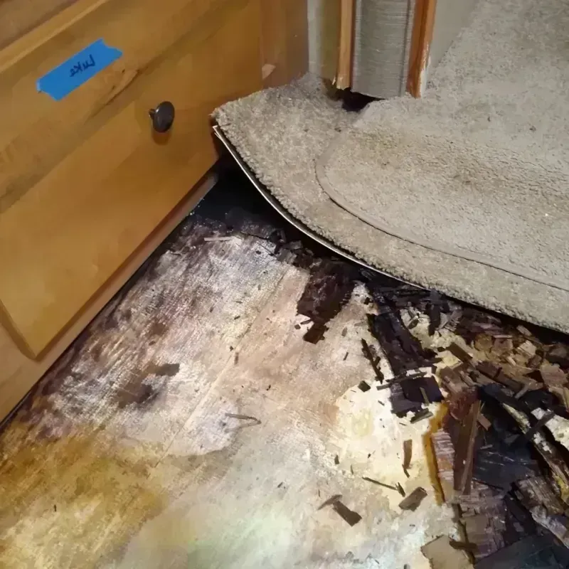 Best Wood Floor Water Damage Service in Dansville, NY